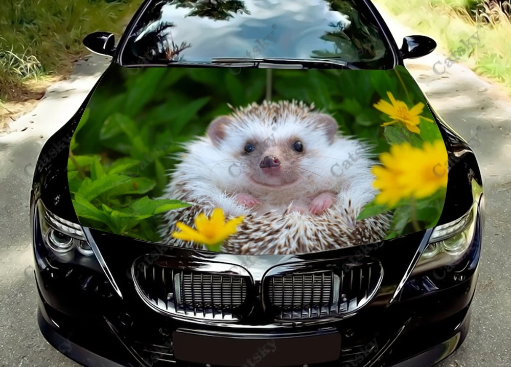 

Виниловая наклейка Hedgehog в виде животного, графическая наклейка, графическая наклейка с капюшоном для большинства транспортных средств, пользовательская графика