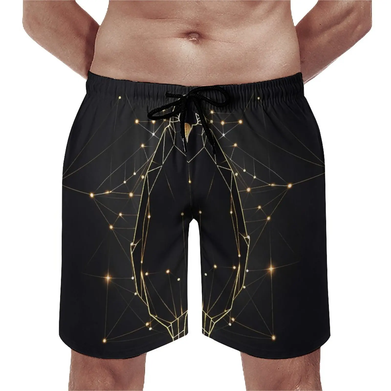 

Penguin Board Shorts Summer Astro Geometry Minimalist Art Casual Beach Short Pants Running Surf Comfortable Graphic Swim Trunks