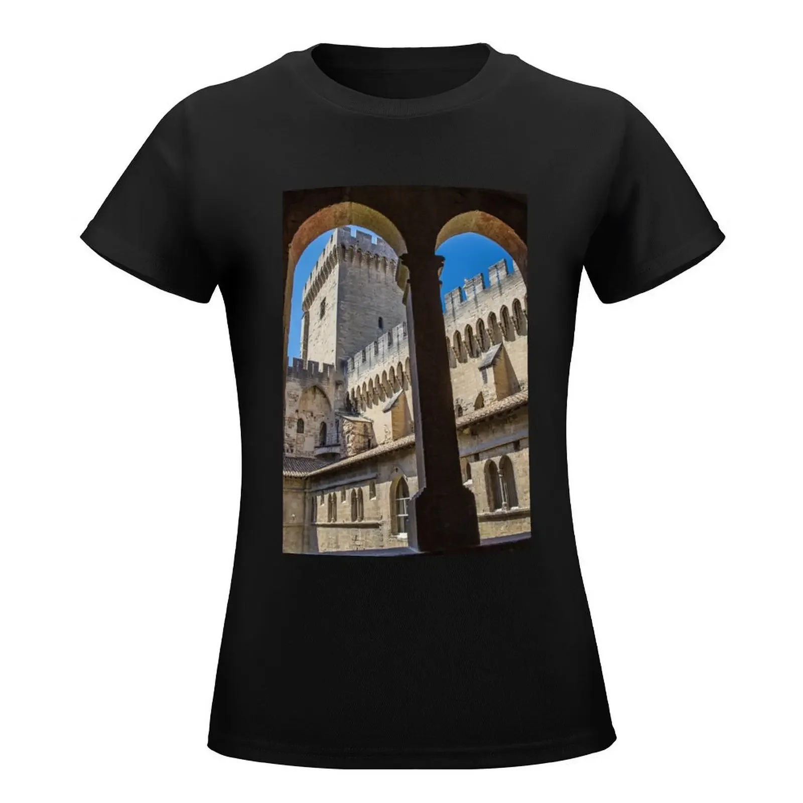 Франция. Авиньон. Папальный дворец. Футболка женская одежда Эстетическая