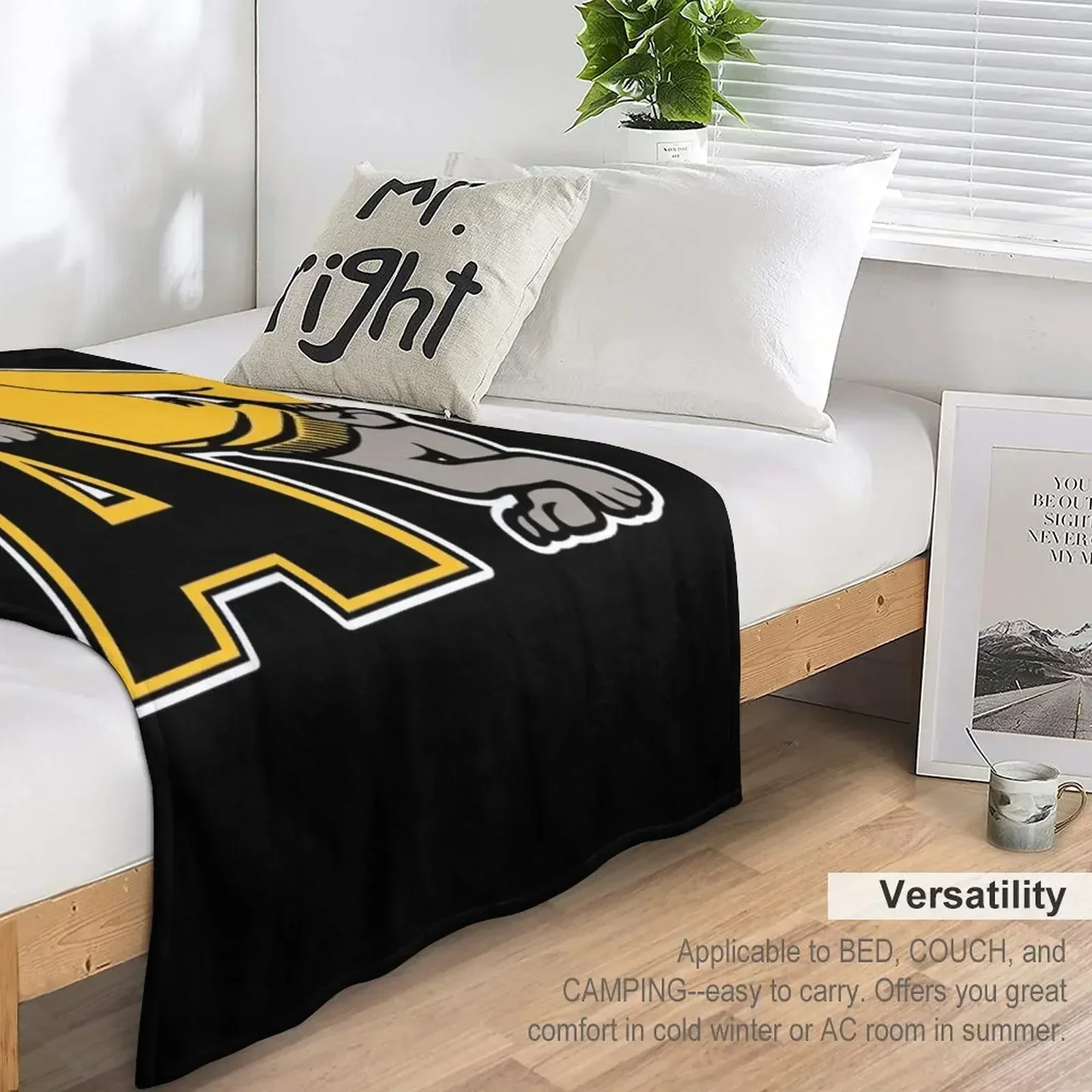 Одеяло для взрослых колледжа фланелевые мягкие одеяла кроватей