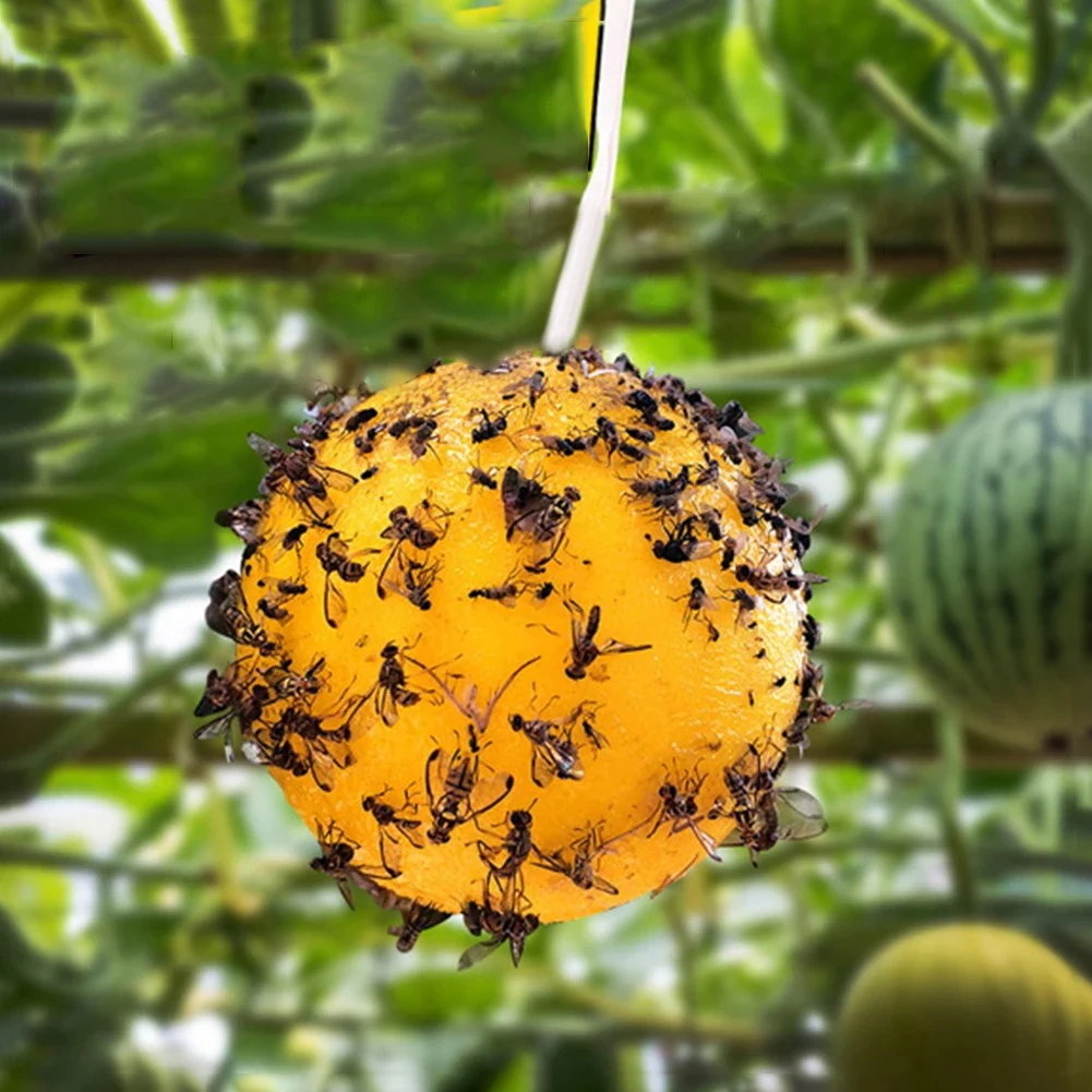 Подвесная ловушка для мух клей-шар насекомое фруктовая муха убийца насекомых