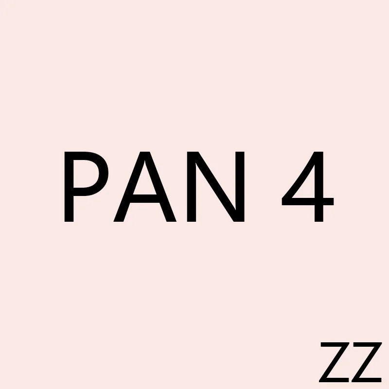 

PAN ZZ 4