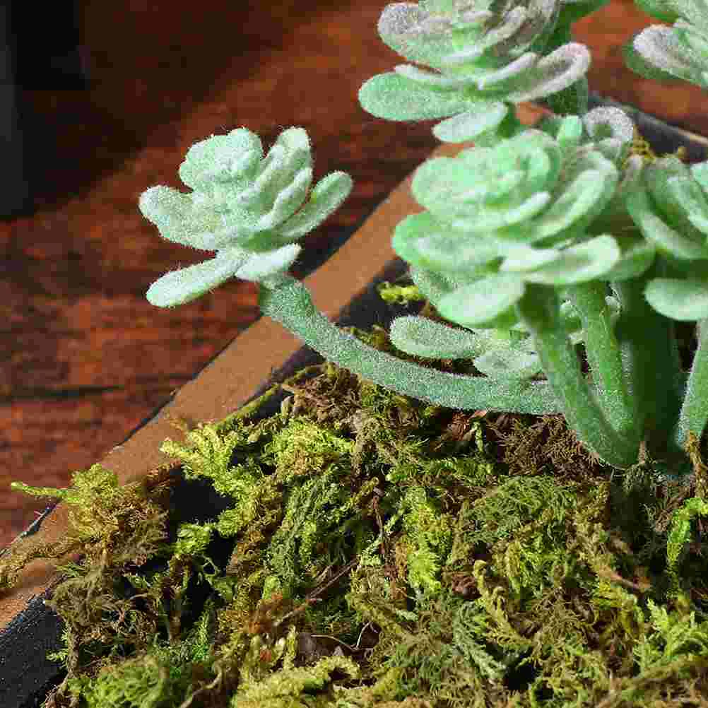 

Fake Greenartificialplant Preserved Faux Simulation Garden Pot Diy Craft Flower Lichen Potted Grass Decorative Floral Crafts