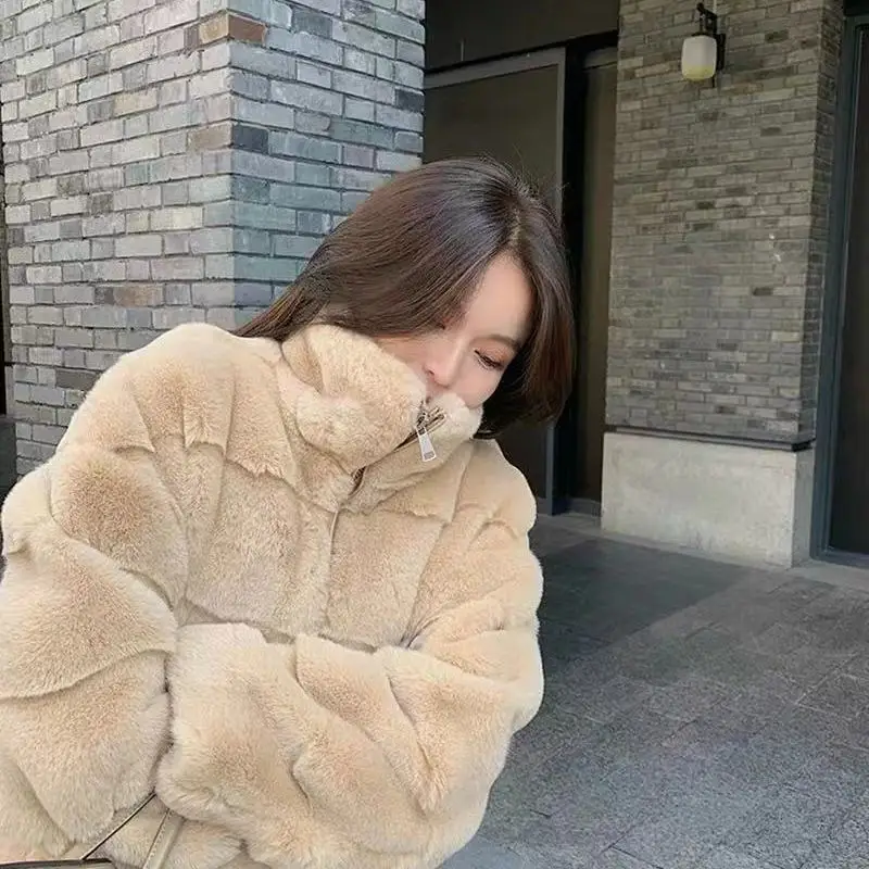 2022 Fashion Faux Fur Coat Mink Fur Teddy Coat Warm Jacket for Women Fur Coats for Women Winterwear Solid Women's Winter Jacket