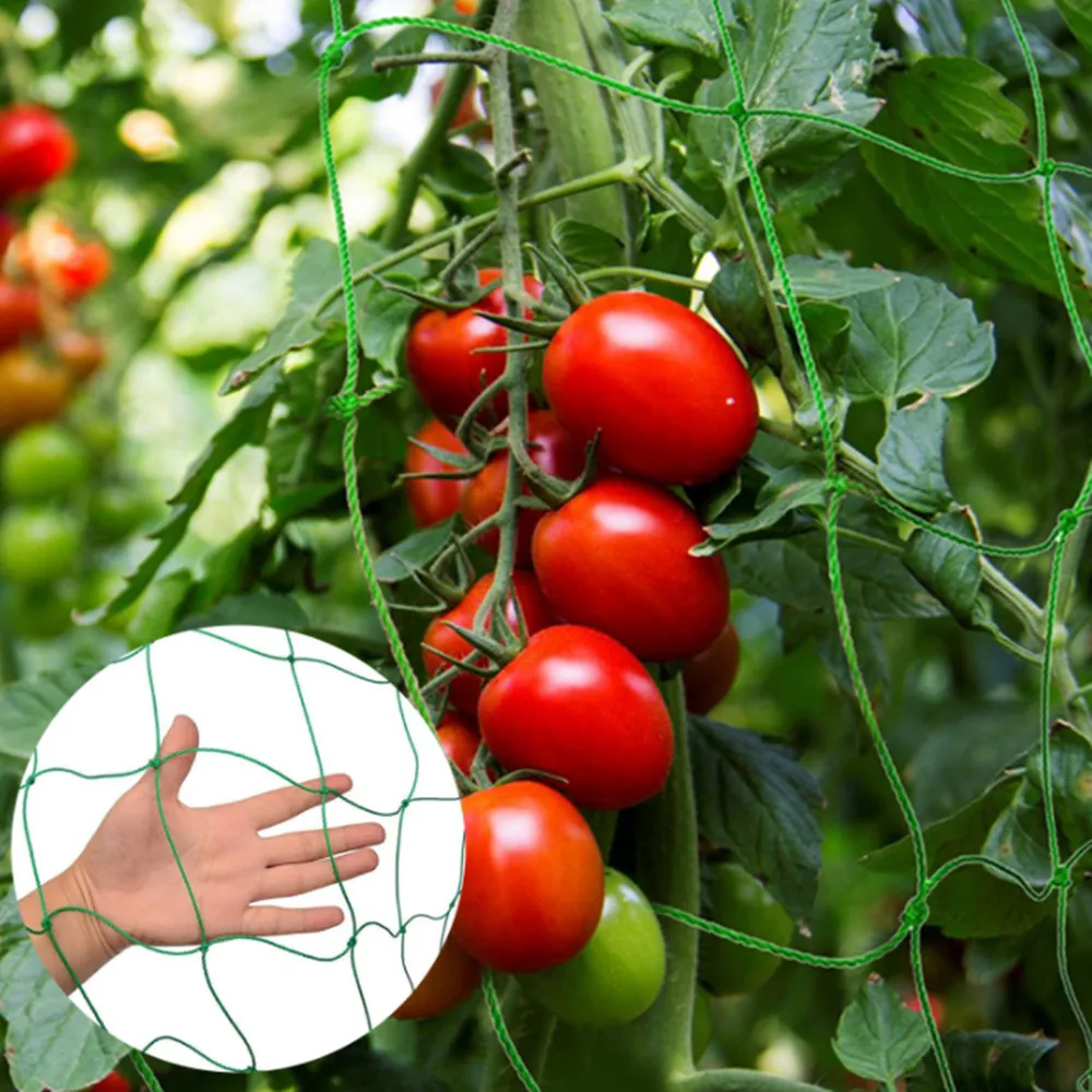 

Gardening Net Horticulture Plant Crawl Net Loofah Morning Glory Cucumber Vine Grow Holder Crawl Support Plants for Growth