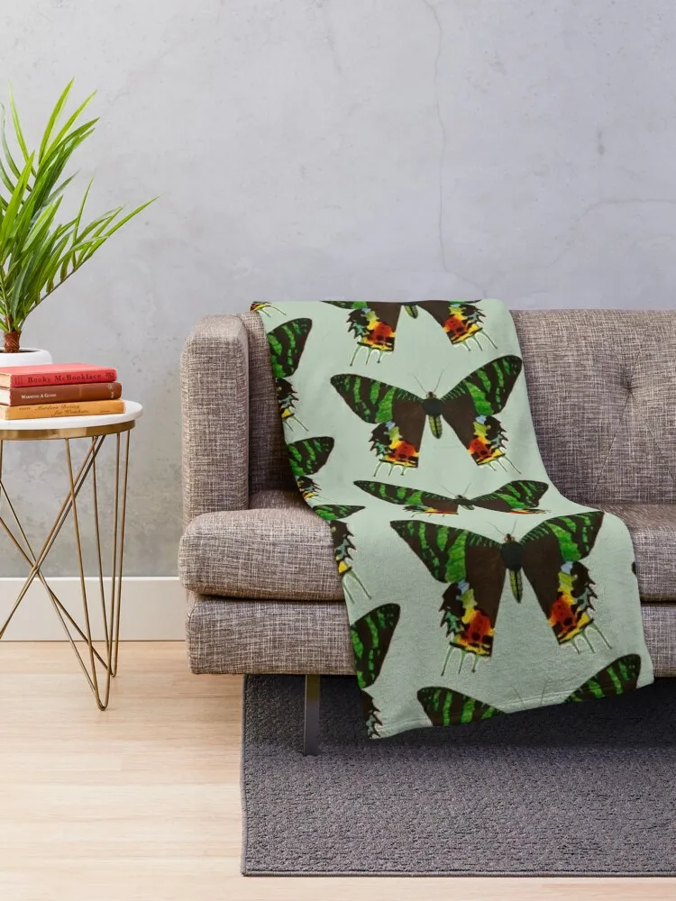 Мадагасканская молька заката - Кризиридия rhipheus винтажная мотылка плед роскошные