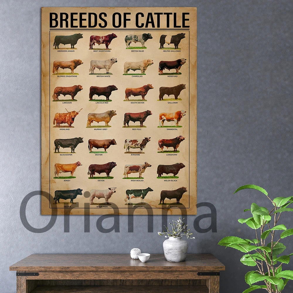 

Breeds Of Cattle Print Vintage Poster,Home Decor Art Print Canvas Painting, Breeds Of Cattle Poster,Farmer,Cow Lover Unique Gift