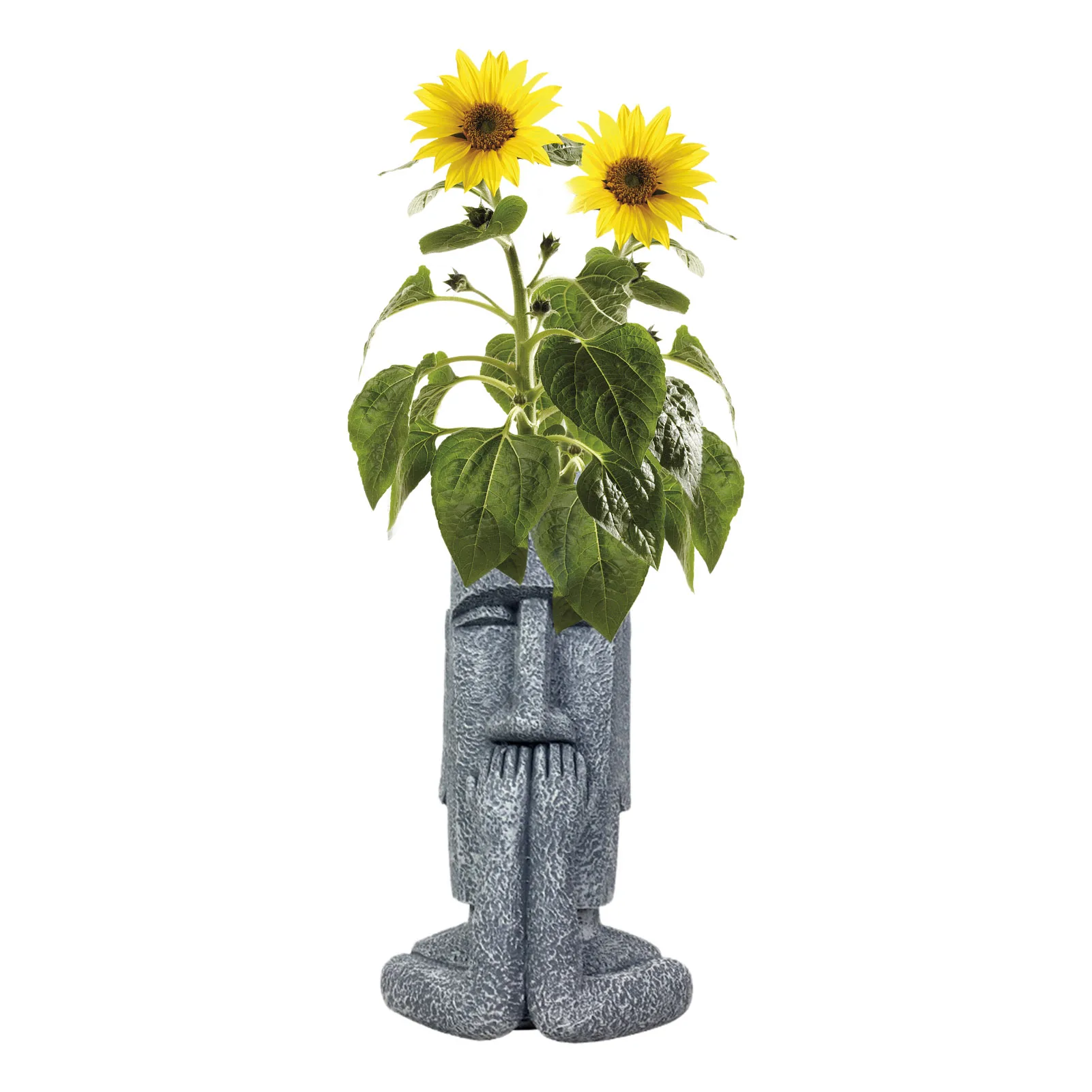 

Head Face Succulent Planter Plant Pots Cute Resin Cactus Planters Irregular Modern Head Busts Flower Vase Sculpture Farmhouse