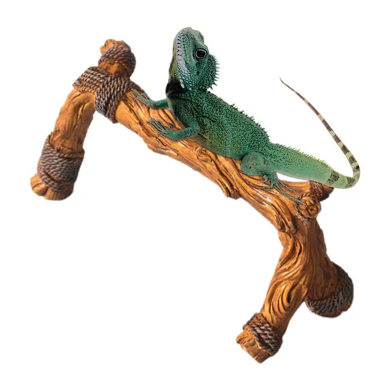 Альпинистские домашние животные ветки для восхождения среда обитания рептилий