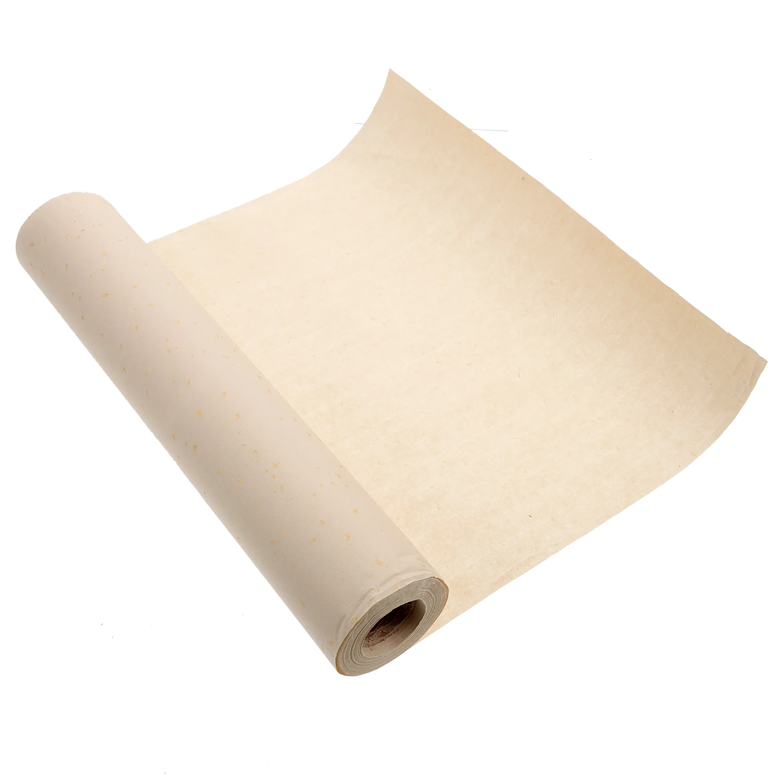 

Sprinkle Gold Rice Paper Painting Japanese Sumi Bronzing Traditonal Drawing Xuan