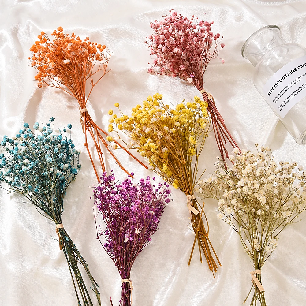 

Mini BabysBreath Small Natural Fresh Dried Flowers Bouquet Photography Photo Backdrop Colorful Dry Flowers Press Decorative