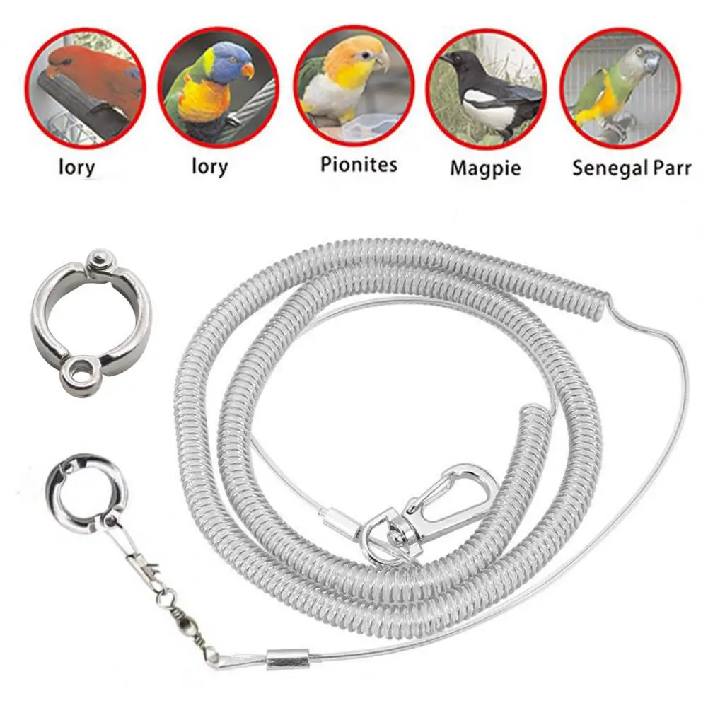 

Полезный тренировочный трос для птиц, кольцо для ног, аксессуары для птиц, тяговый трос для птиц, портативный буксировочный трос