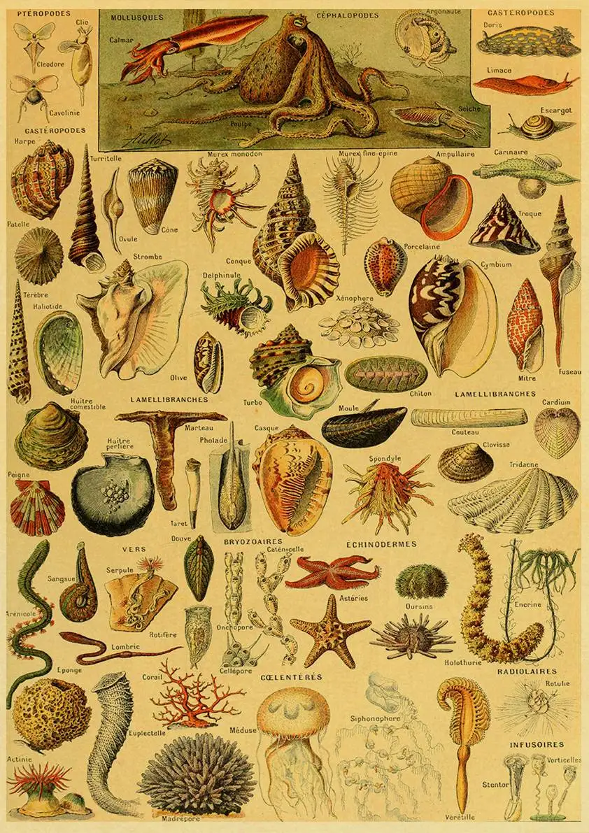 

Ретро плакат с растениями Snapseed