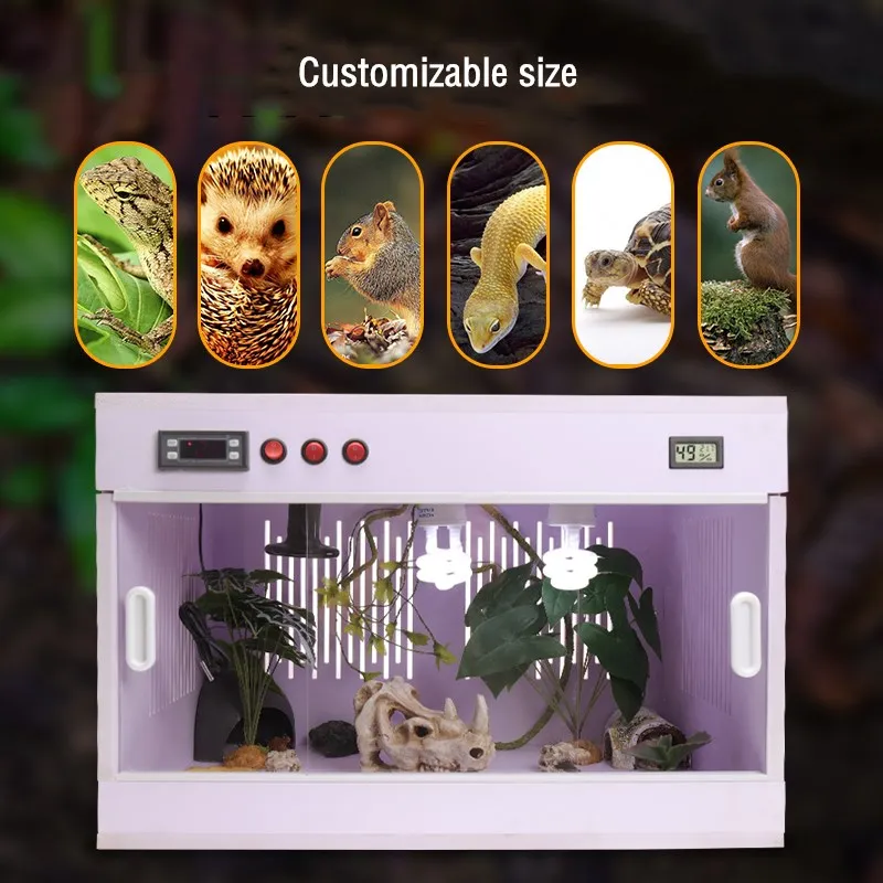 

PVC Reptile Terrarium Detachable Tortoise Lizard Hatching Container Rearing Tank Reptile Amphibians Habitat Decor 테라리움