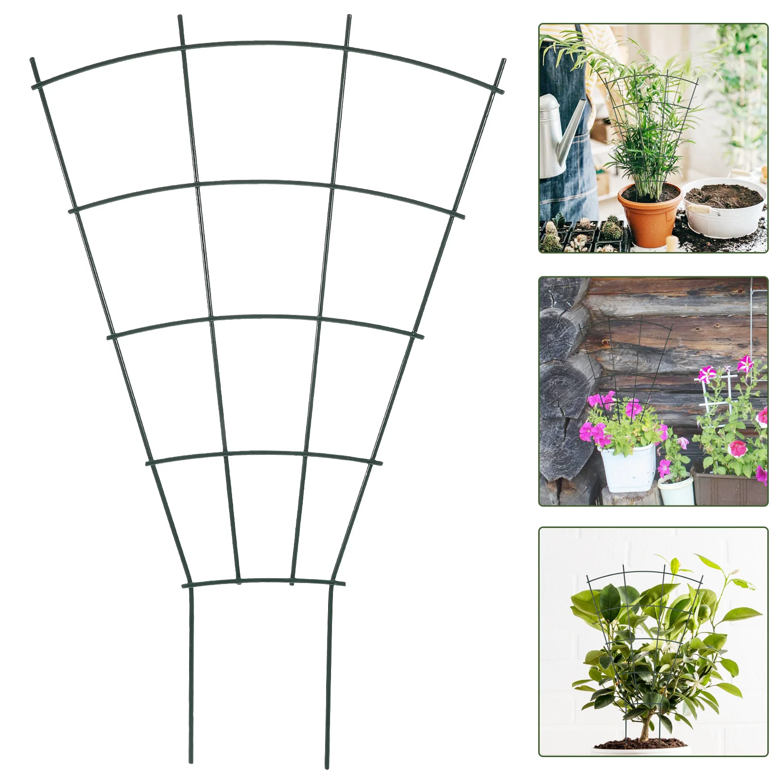 

Rack Garden Trellis Vine Climbing Stand Supplies Indoor Metal Supports Supporting Racks Decor