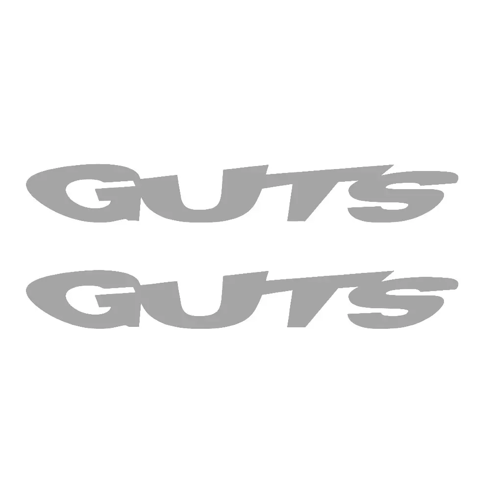 

2x для GUTS GRAPHICS НАКЛЕЙКА MOTOCROSS ENDURO RACE