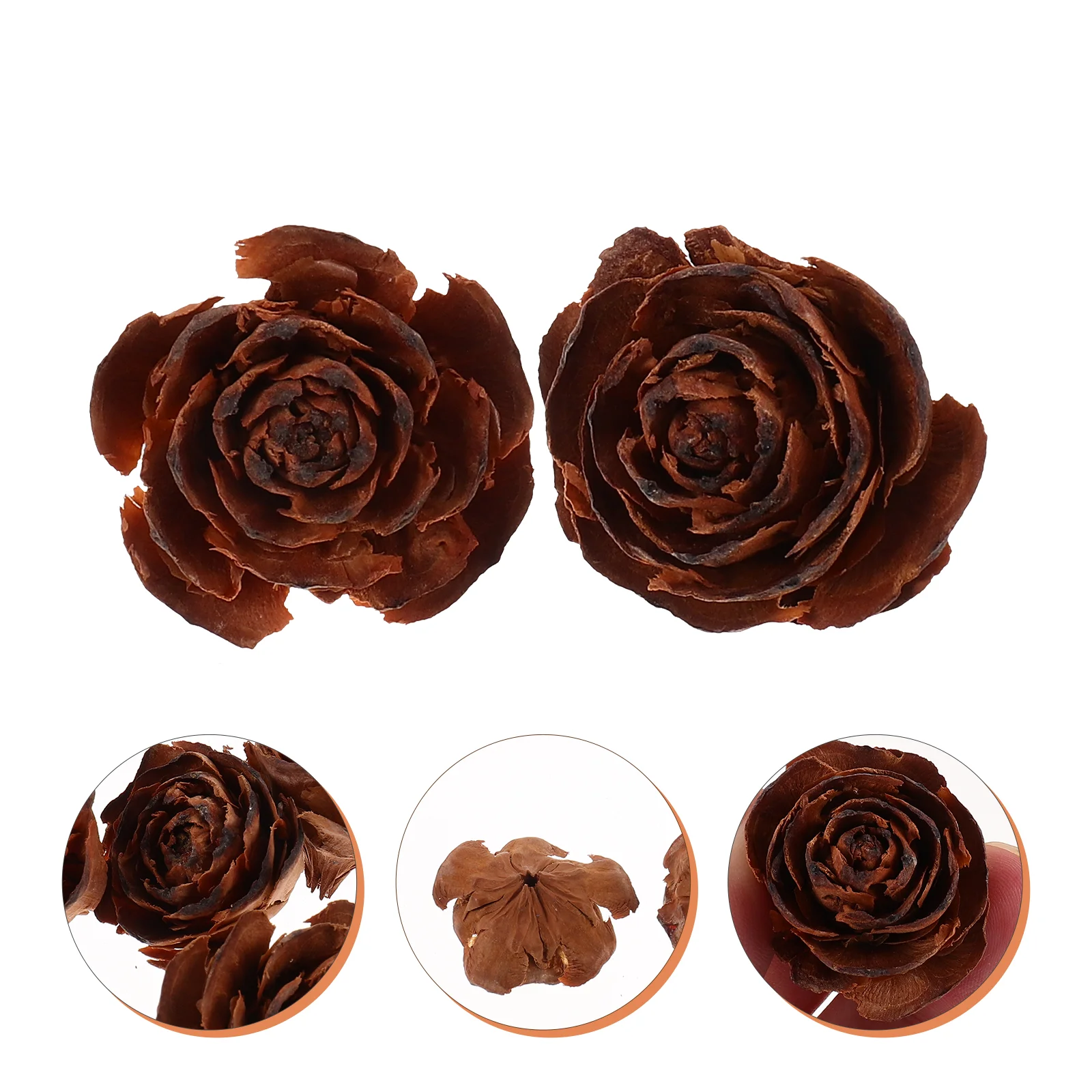 

Decorations DIY Flower Accessories Flowers Material Crafting Materials Dried Sample