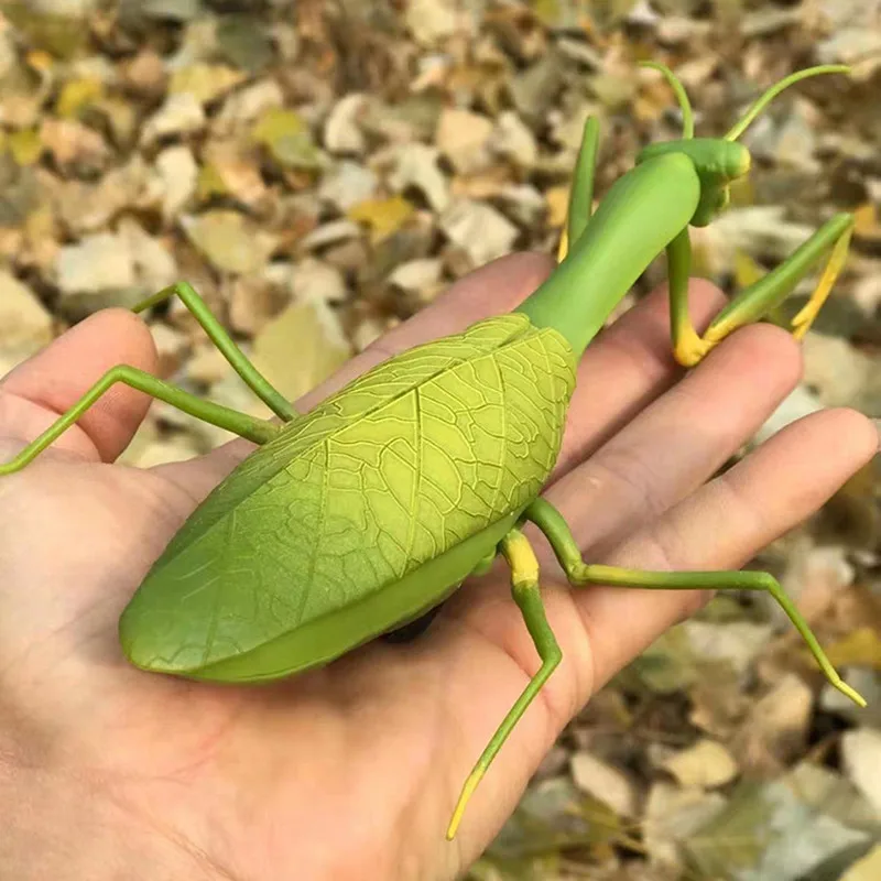 

RC Cockroach Simulation Remote Control Animal Creepy Spider Bug Prank Fun RC Kids Toy Gift High Quality Infrared Children's Day