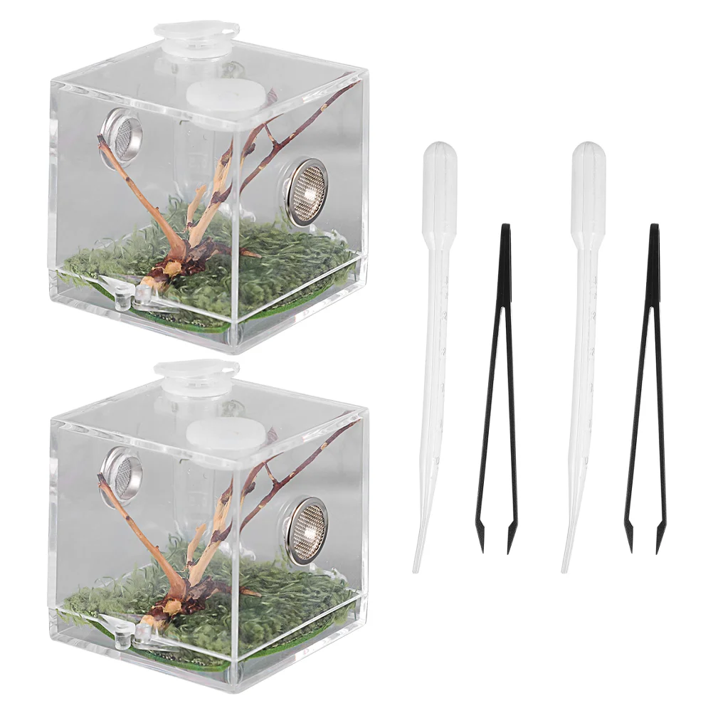 

1 Set of Acrylic Jumping Spider Box Small Insect Feeding Box Transparent Spider Feeding Case