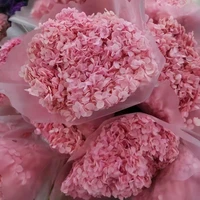 hydrangea dried flower natural plant preserved fresh flower wedding gifts for guestschristmas decorations for home 2022 pampas