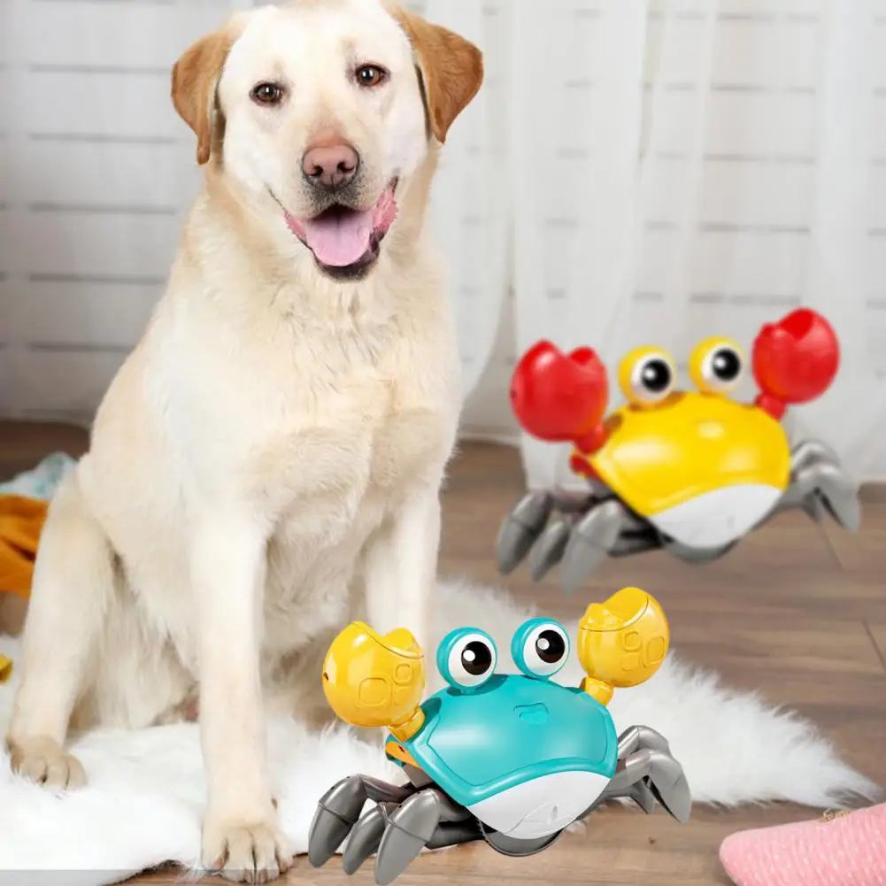 

Развлекательная игрушка для домашних животных