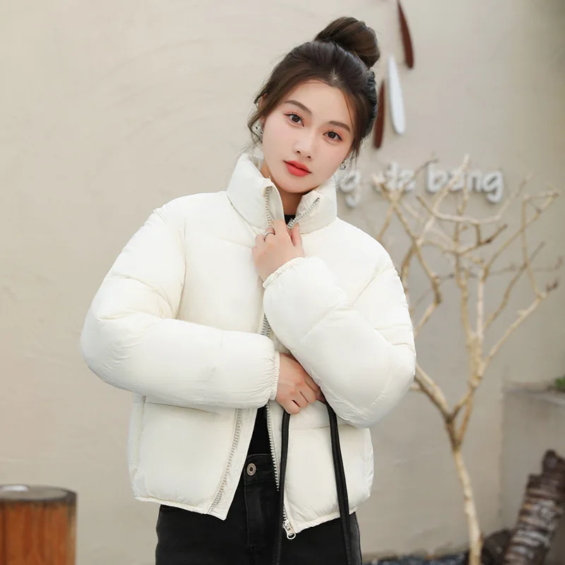 Рисунок 4 - Коричневая короткая зимняя куртка