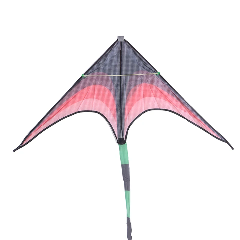 Large Delta Kites Tails With Handle Outdoor Toys For Kids Kites Nylon Ripstop Albatross Kite Factory Primary Stunt Kite Kit images - 6