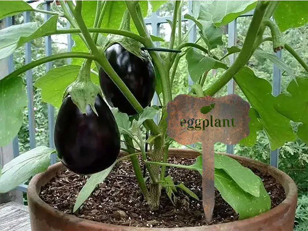 

Металлические этикетки для семян и искусственных растений, этикетки для семян овощей, прочные этикетки для горшков