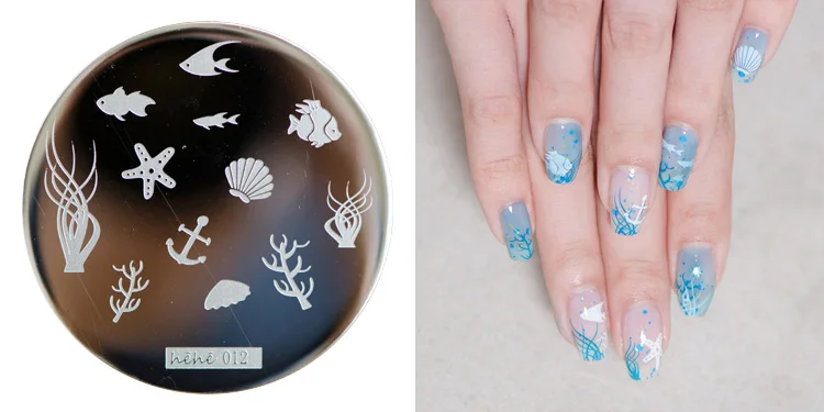 2016 новинка HeHE новая штамповочная пластина hehe12 Морская раковина с животными Морская звезда дизайн ногтей штамп Шаблон Печать для переноса изображения