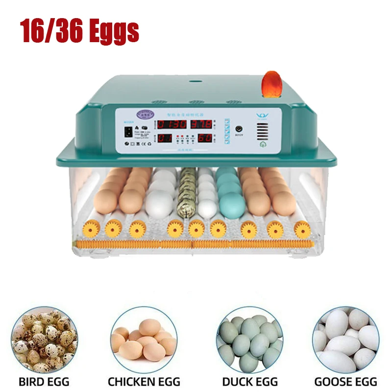 Incubadora de huevos, máquina de incubación automática, controlador de incubación para el hogar, granja, pollos, aves, ganso