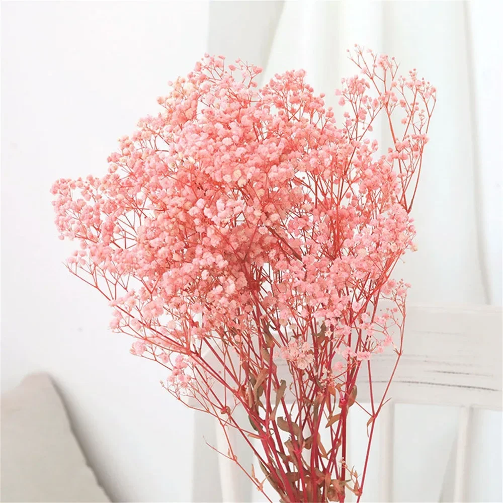 

Сухие цветы гипсофила YN HI FLOWER ENJOY YOUR LIFE