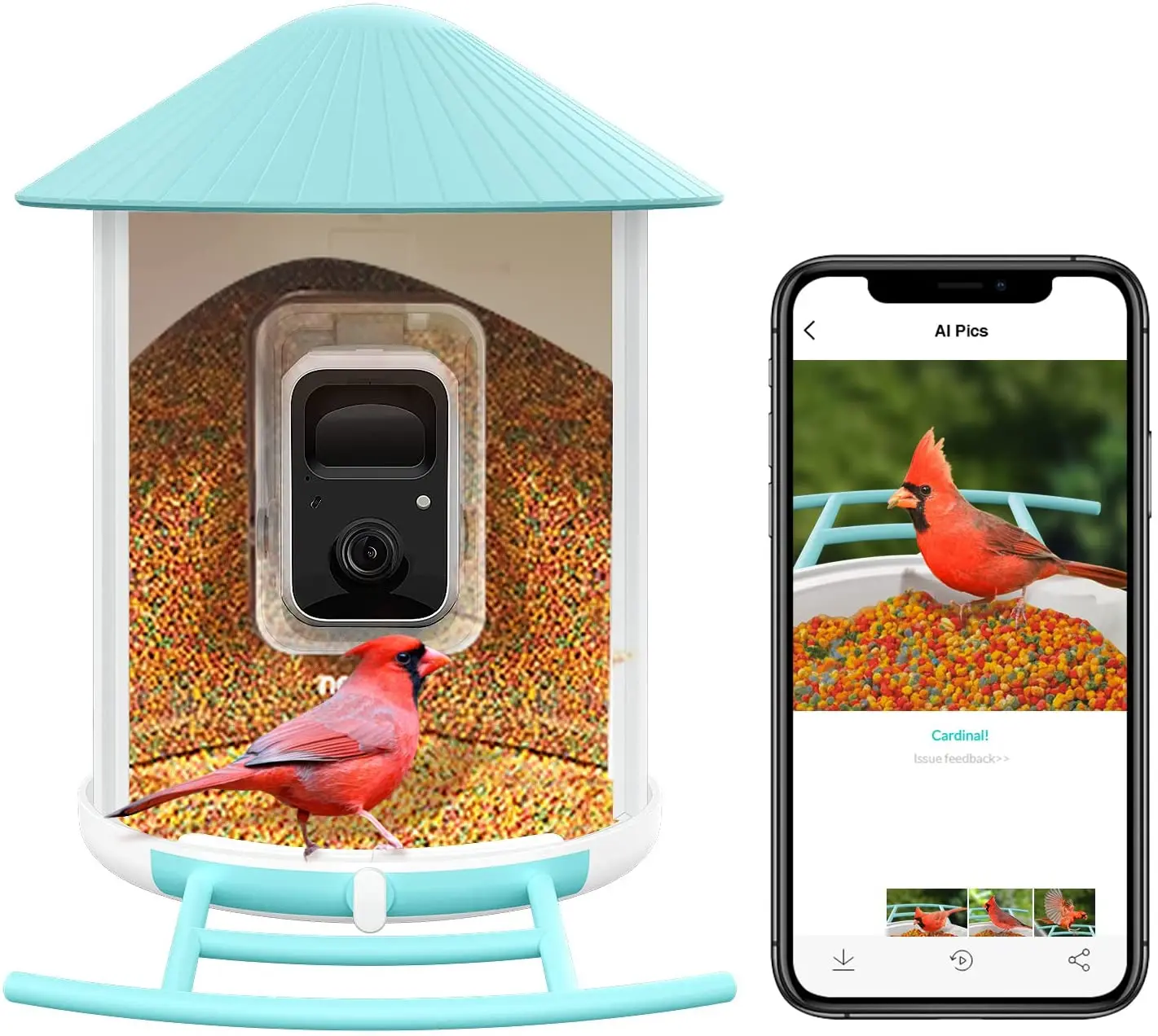 NETVUE Wireless Bird Feeder Camera Built in Battery Auto Capture Bird Video Notify When Birds Detected Watching Camera WiFi