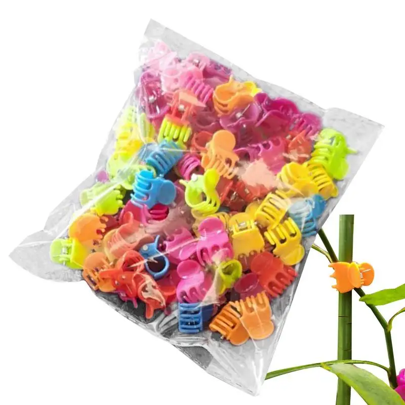

Plant Climbing Clips 100pcs Tomato Clip Garden Clips Plant Clips Colorful Trellis Clips For Climbing Plants Grow Upright Flower