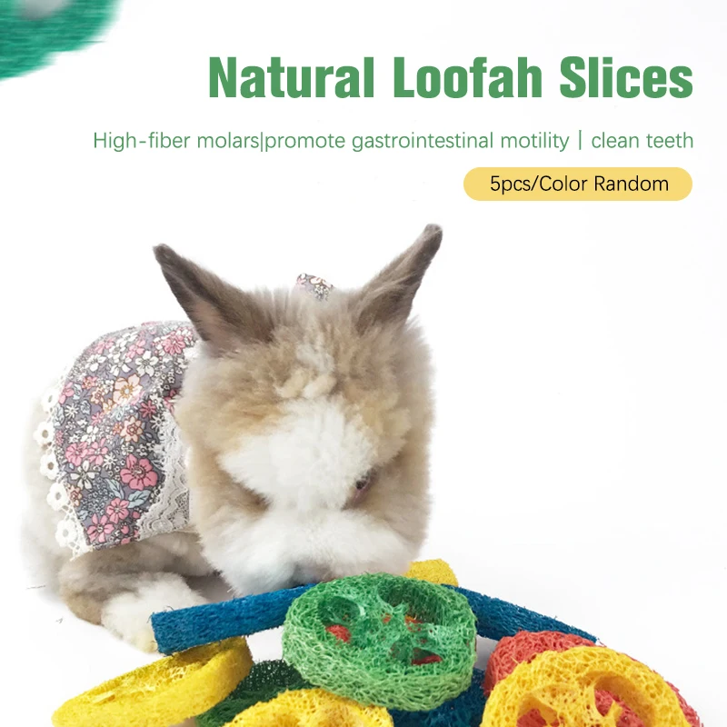 

Pet Molars Natural Loofah Color Cleaning Loofah Slices Hamster Chinchilla Molar Toys Snacks Bite-resistant Small Animal Supplies