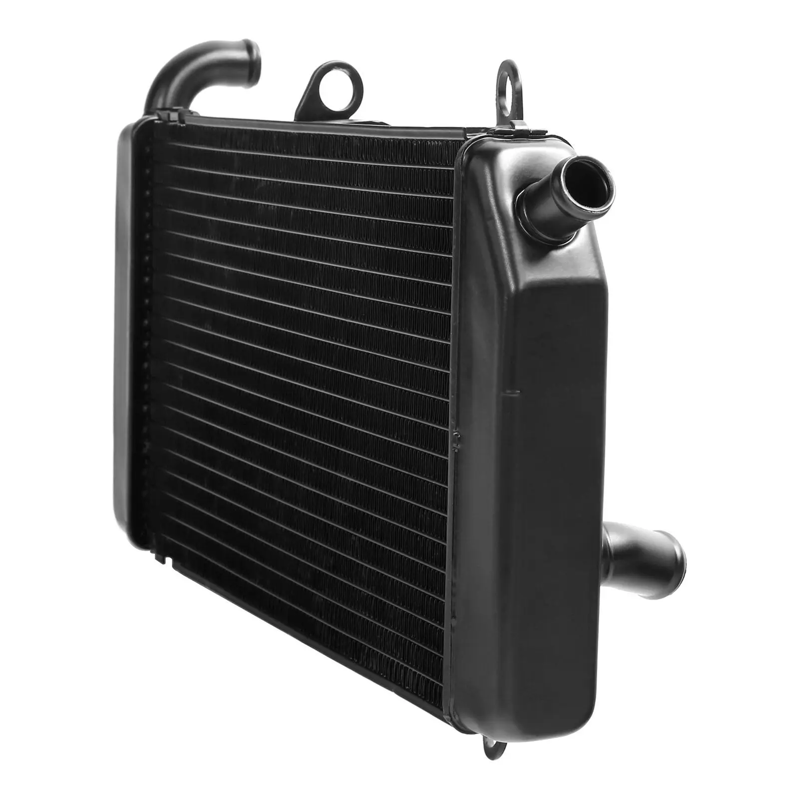 Подходит для радиатора мотоцикла FSC400 2002-2004 FSC600 02-13 резервуар воды