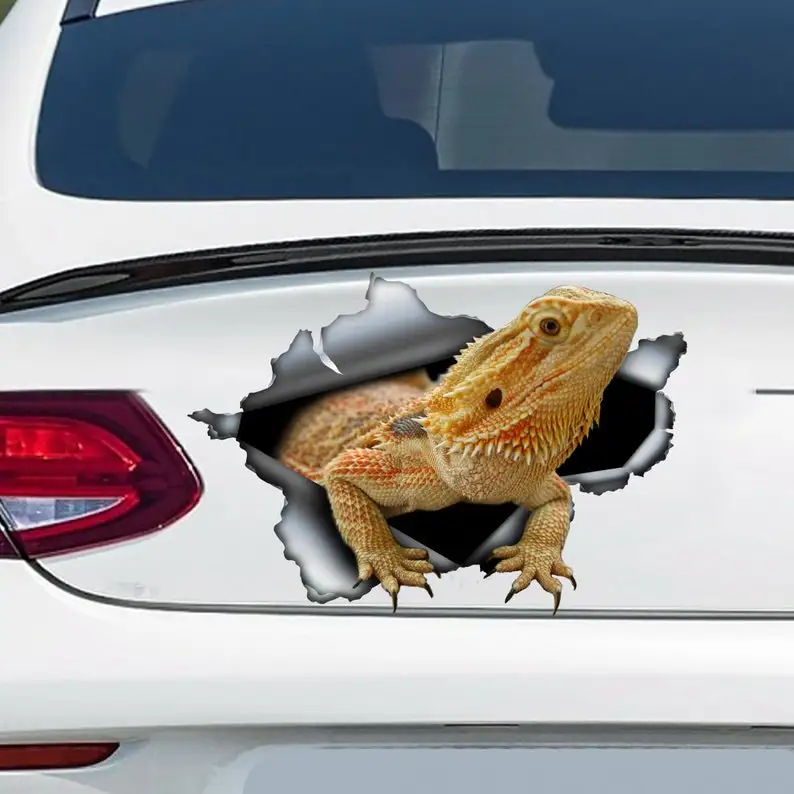 

Bearded Dragon car decal, Bearded Dragon magnet, bearded dragon car sticker, pet decal