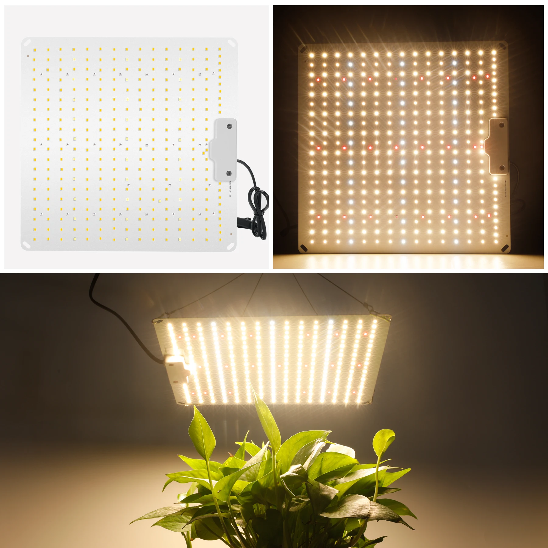 800w Samsung Lm281b Diodes Quiet Fanless Full Spectrum Grow Light For Greenhouse Hydroponic Houseplants
