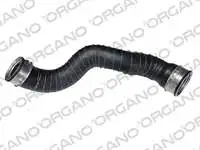 

Store code: 10 H128114 for turbocharger hose SAG E-CLASS W211 0208 S211