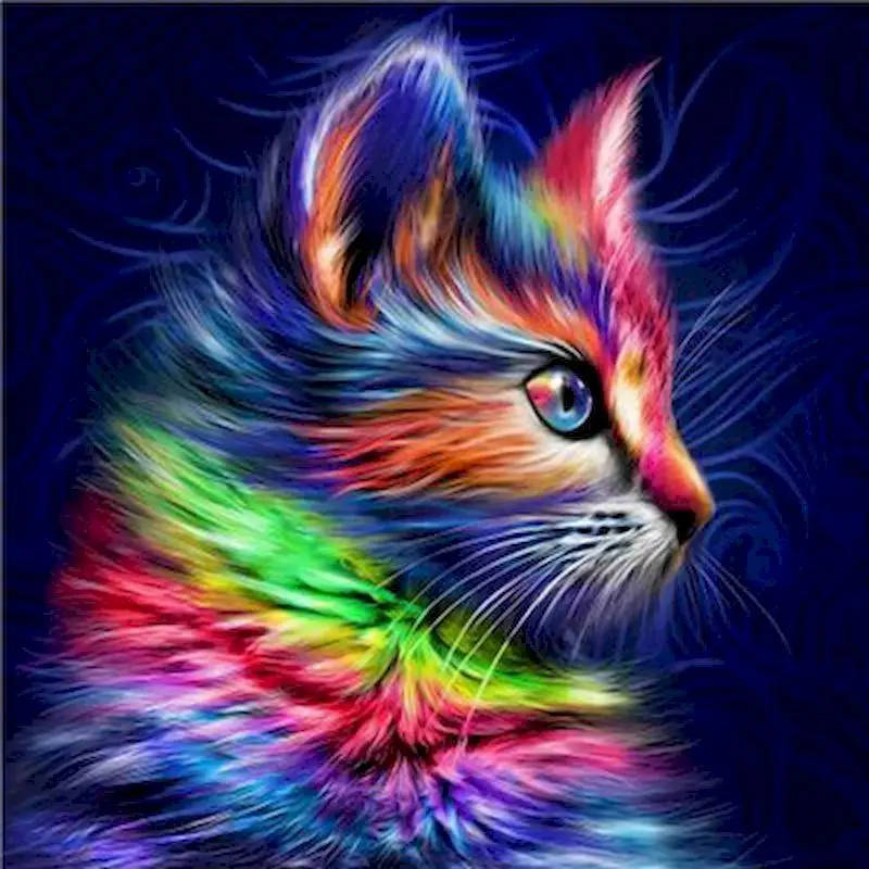 

GATYZTORY 60x75cm Colorful Cat Animals DIY Painting By Numbers HandPainted Oil Painting Canvas Colouring Unique Gift Home Decor