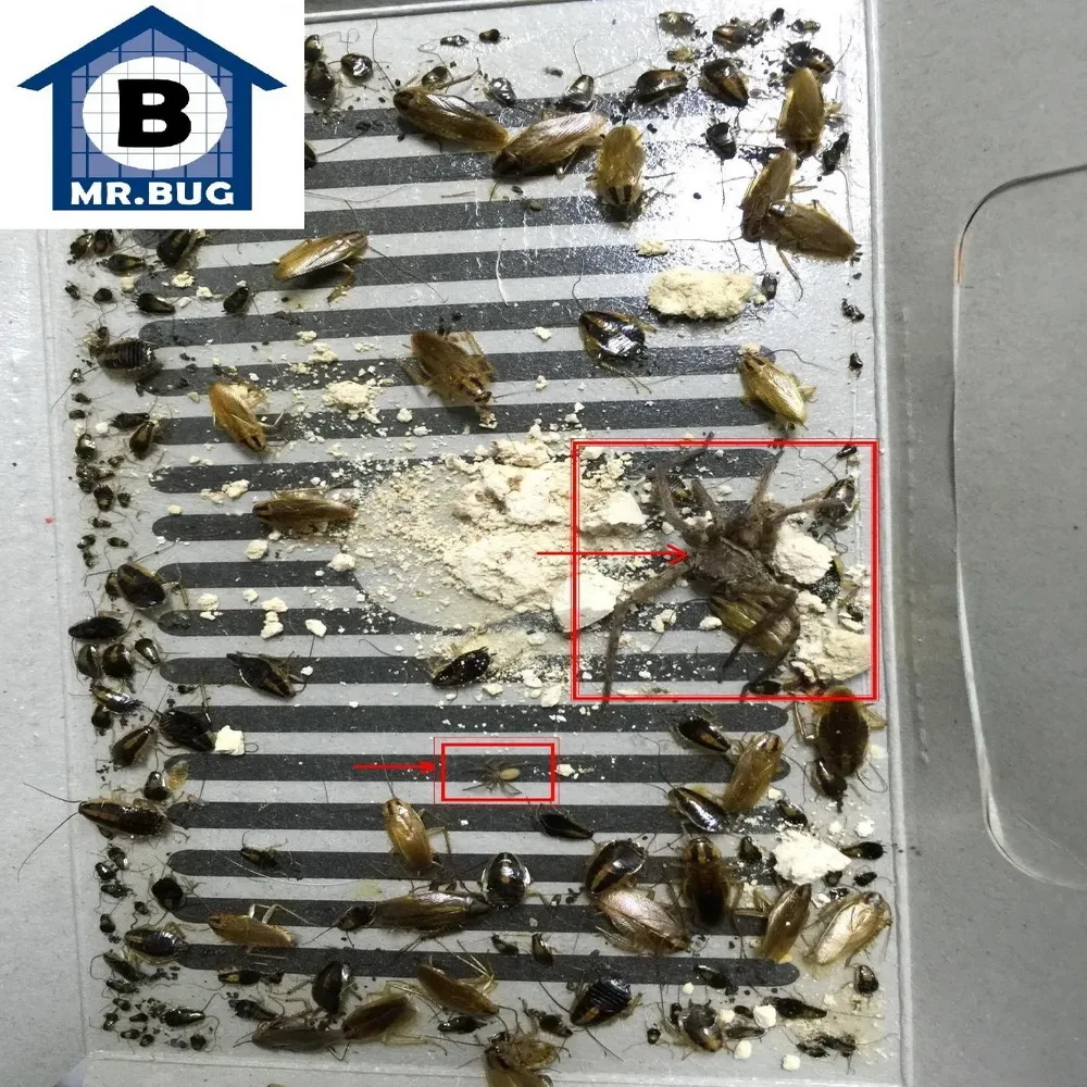 Ловушка Mr Bug для тараканов, убийца наживок, отпугиватель тараканов, тараканов, насекомых, термитов, пауков, крыс, мышей, ловушка для уничтожения насекомых