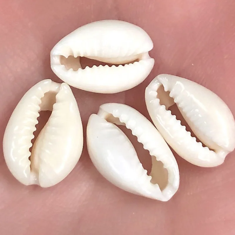 

DIY 15-20mm Natural Shell Conch Beads Charm Oval Cowry Cowrie Tribal Loose Spacer Beads For Jewelry Making Bracelet Crafts