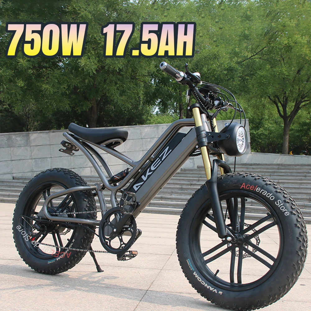 

Electric Bike 750W E Bicycle 48V 17Ah Removable Lithium Battery 20Inch Fat Tire Electric Mountain Snow Commuter Ebike for Adult