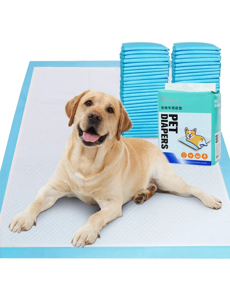 Amazonbasics Pet Training And Puppy Pads