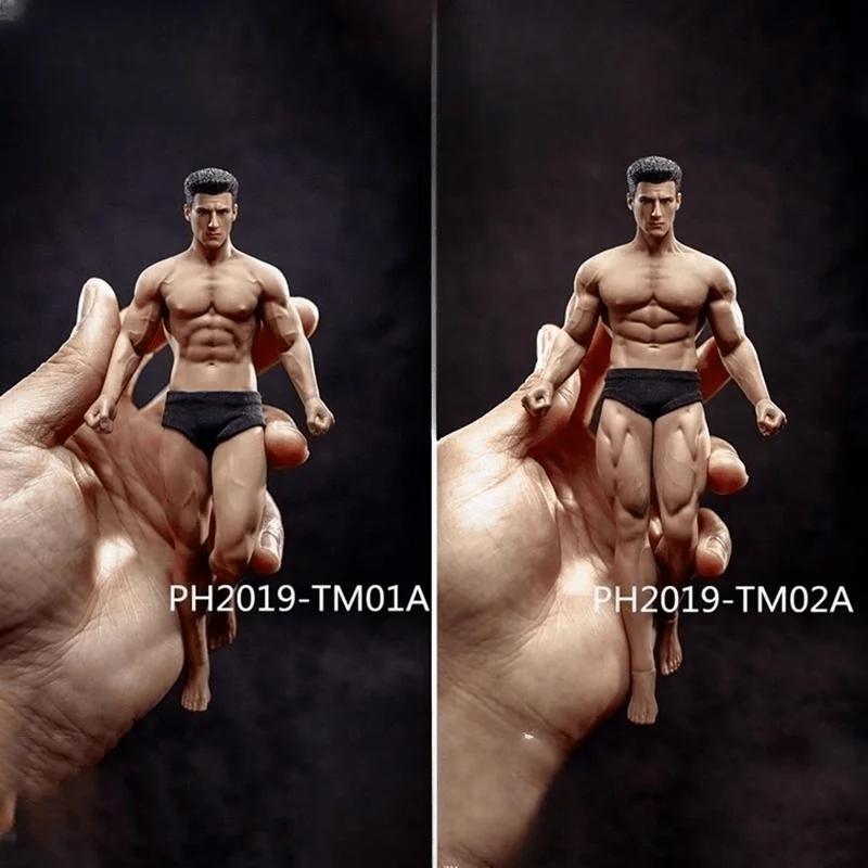 Новинка Tbleague 1/12 супер-гибкая Мужская бесшовная фигурка тела с лепкой головы Tm01a /tm02a Suntan Skin Tony Dutch Brother