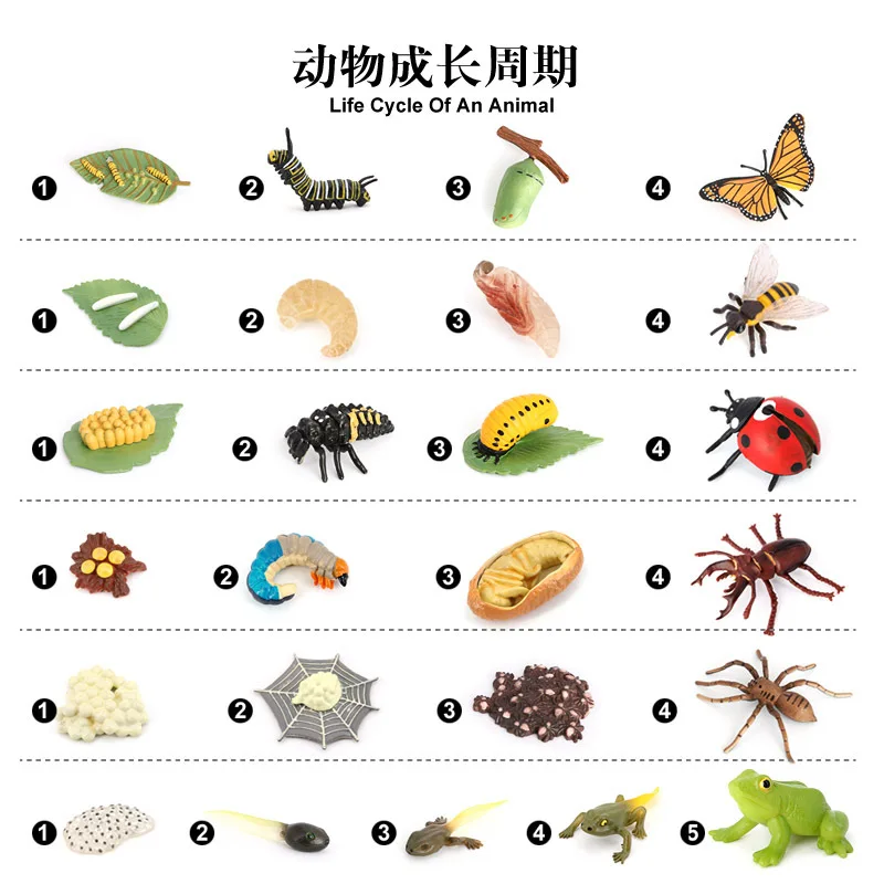 

Brand New Animals Model Toys Monarch Butterfly,Honeybee,Ladybird,Frog,Butterfly Insects Set Action Figure Model Toy For Children