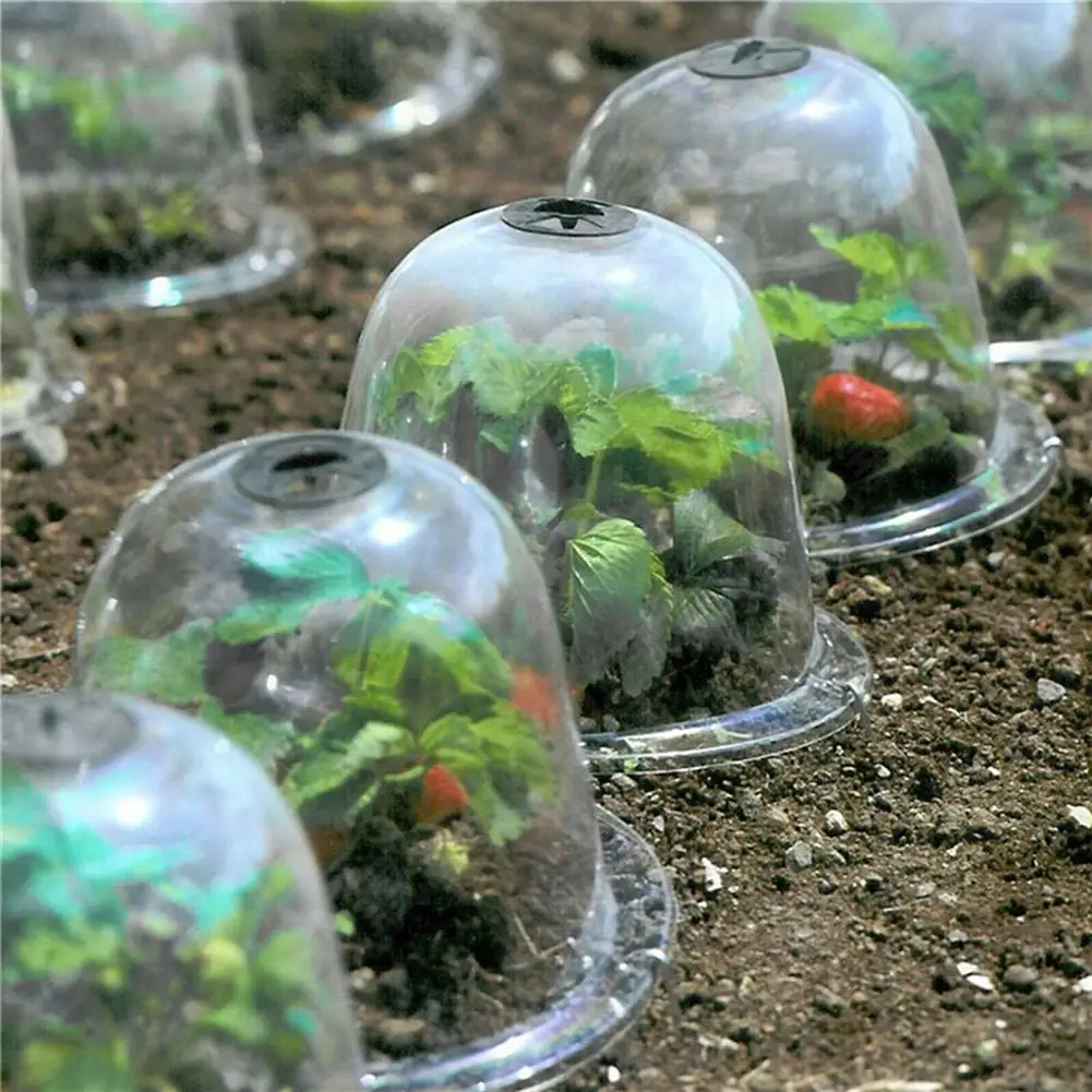 

1PC Mini Greenhouse Dome Plant Bell Dome Anti-freeze Transparent Protector Cover Mini Greenhouse Outdoor Garden Plant Protect