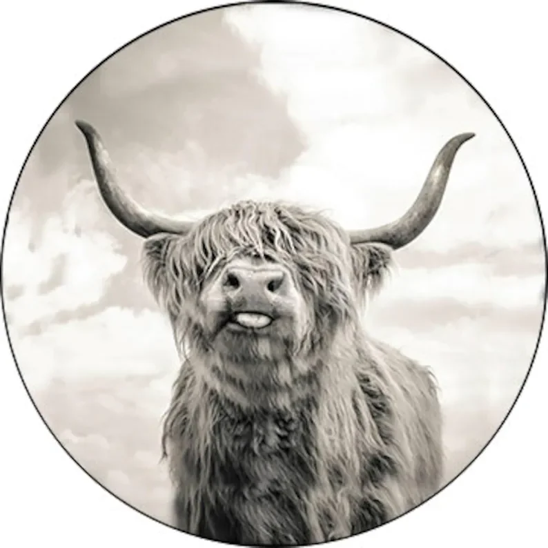 

Highland Cow Flag Spare Tire Cover For Car - Car Accessories, Custom Spare Tire Covers Your Own Personalized Design,