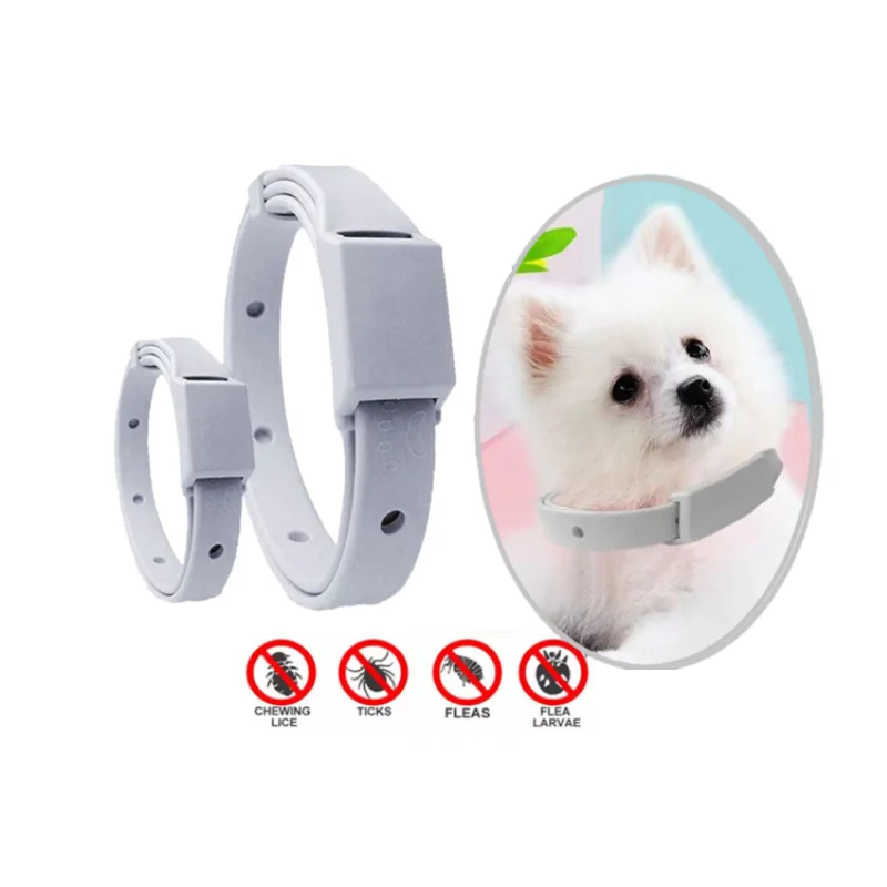 

Anti Flea Tick Collar For Cat Small Dog Antiparasitic 8Month Protection Adjustable Puppy Kitten Collar Breakaway Pet Accessories