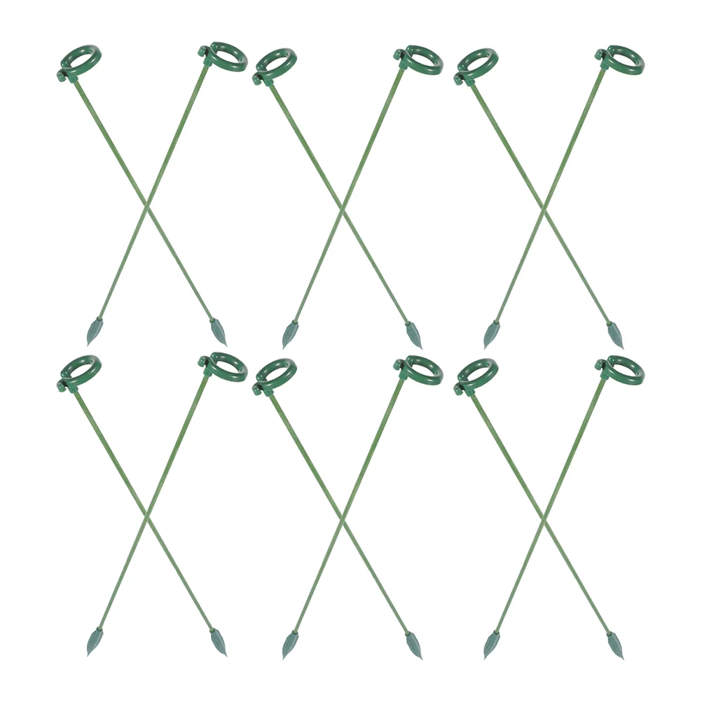 Сочные подставки для фаленопсиса колья комнатных цветов бабочек орхидей