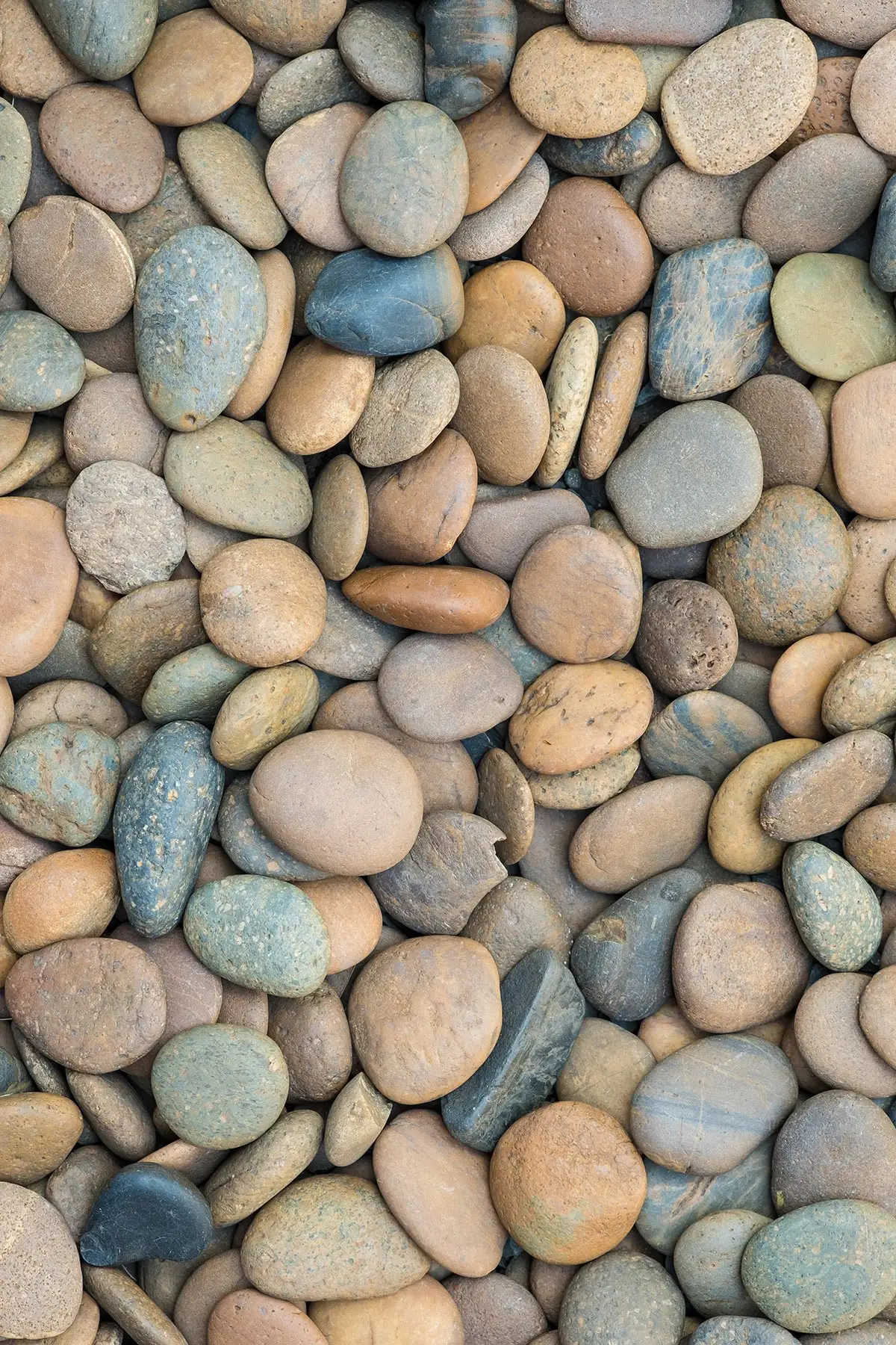 

Чехол для домашнего декора, напольные ковры, наполнители со скапливаемыми камнями, современные цвета, накладка на ковер с цифровой печатью